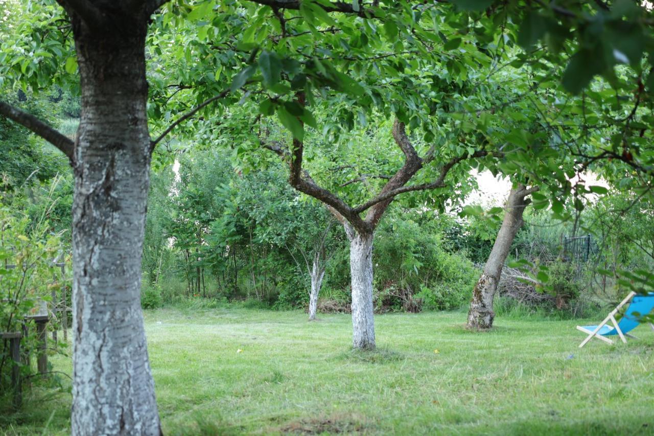 Lawendowe Pokoje Blisko Lasu - Mikolajki Buitenkant foto
